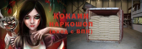 молекула духа Мегион