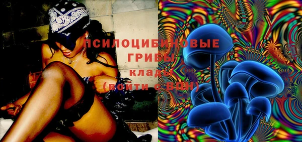 молекула духа Мегион