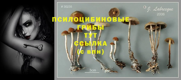 герыч Медногорск