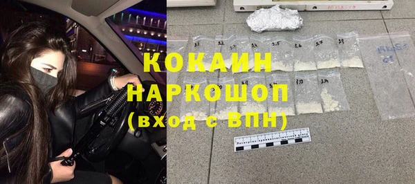 молекула духа Мегион