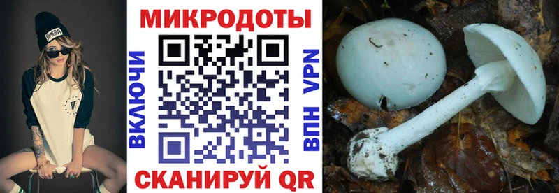 Галлюциногенные грибы MAGIC MUSHROOMS  Купить  Тихвин 